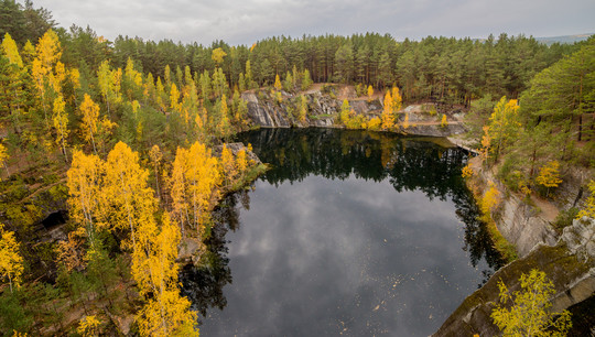 Леса России составляют около 1/5 части площади лесов мира