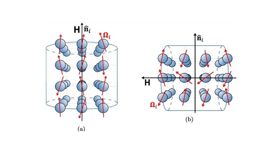 Монодисперсная система иммобилизованных однодоменных суперпарамагнитных наночастиц