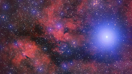 Газопылевые туманности вокруг звезды Садр