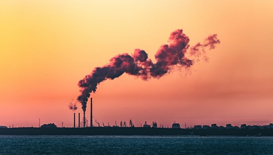 Цель ученых — оценить, сколько парниковых газов выделяют предприятия региона и сколько поглощают растения