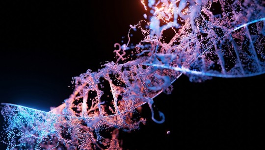 Из-за мутации в гене может нарушаться работа лимфатической системы