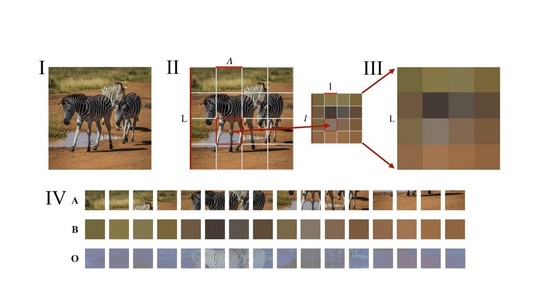Размытие исходного изображения путем деления пикселей на блоки и усреднения цвета в них