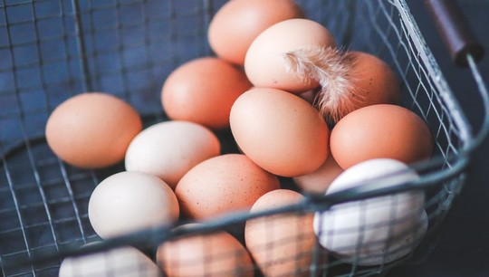Ученые предложили облучать упакованные куриные яйца наносекундным пучком электронов