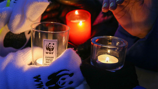 Всемирный фонд дикой природы WWF призывает выключить свет на один час в знак неравнодушия к будущему планеты
