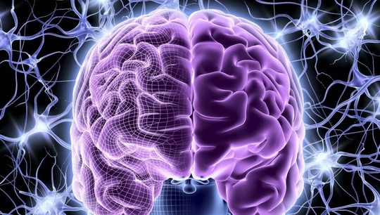 Master's Program Cognitive Neurosciences Is Open for Application