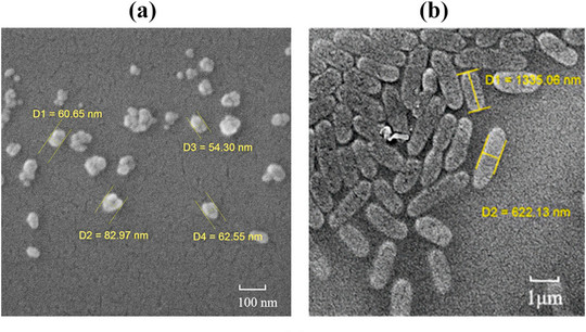 Фотографии наночастиц вещества, сделанные с помощью сканирующего микроскопа