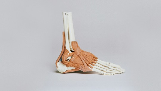 The development will be useful in traumatology in case of a fracture of the foot or femur